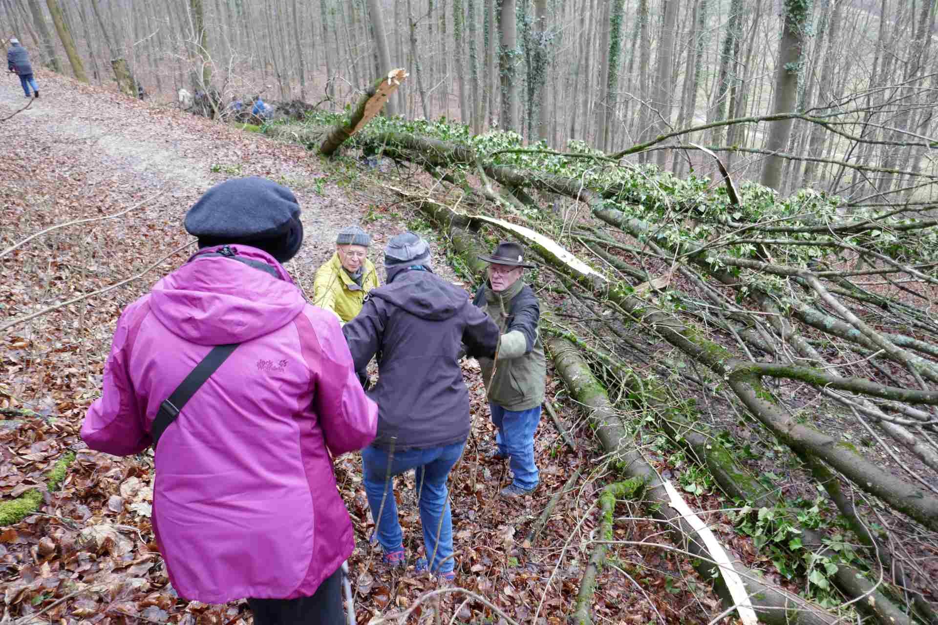 02 Februar - am Braunenberg beim Winkenloch